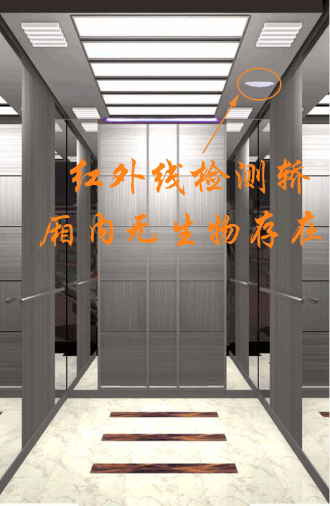 Z6尊龙·凯时(中国)人生就是搏！